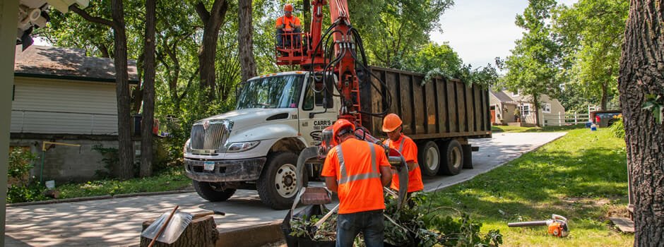 carr's tree service alexandria mn